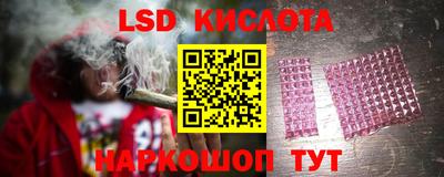 спайс Гусев